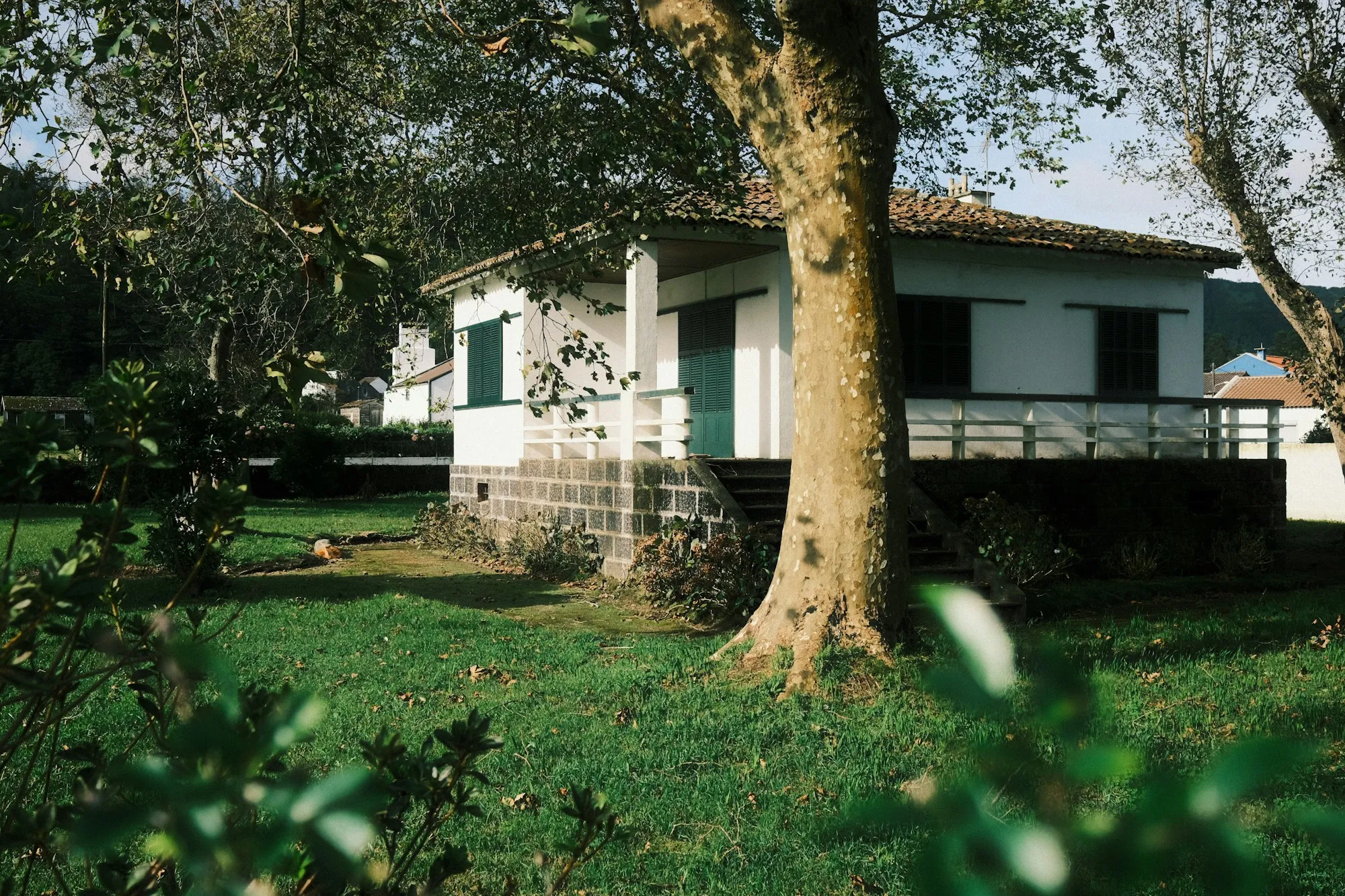 Small detached house on a grassy residential lot
